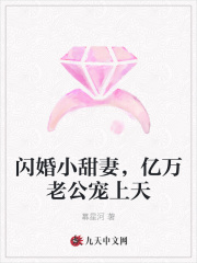 闪婚小甜妻，亿万老公宠上天