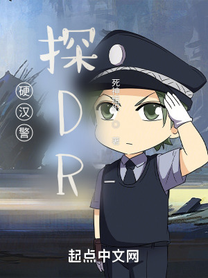 硬汉警探DR