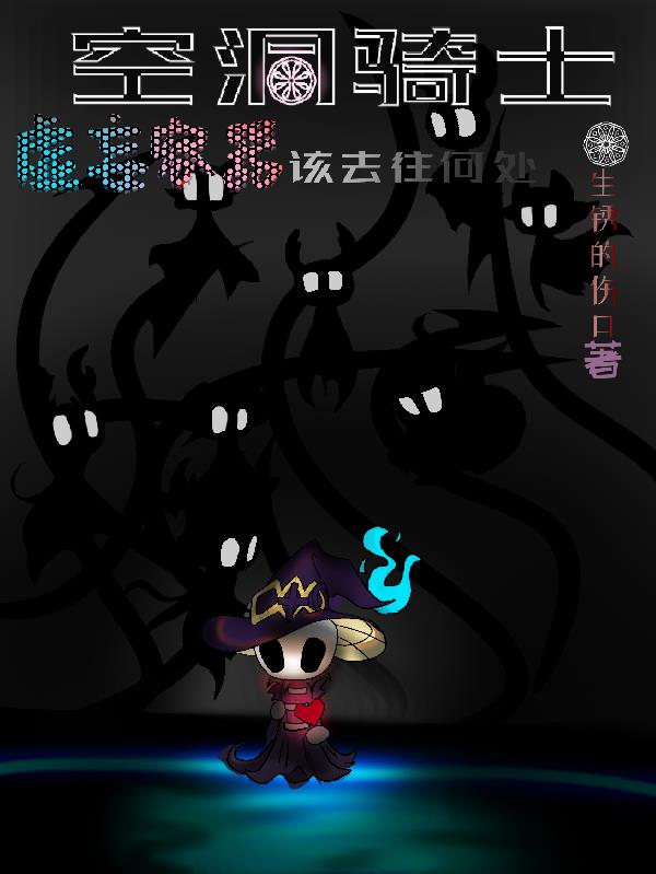 空洞骑士：虚妄容器该去往何处