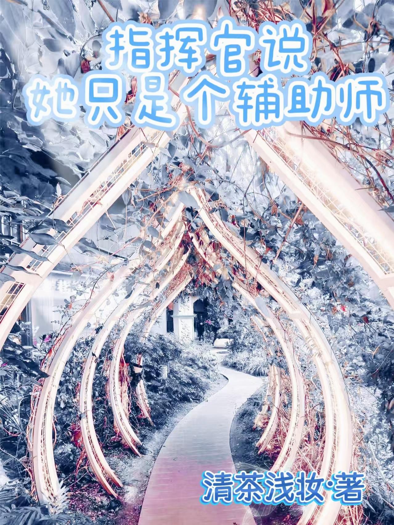 指挥官说她只是个辅助师